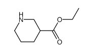 ethyl nipecotate picture