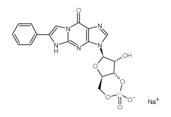 BETA-PHENYL-1,N2-ETHENOGUANOSINE-3',5'-CYCLIC MONOPHOSPHATE SODIUM SALT结构式