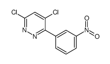 4,6-dichloro-3-(3-nitrophenyl)pyridazine结构式