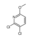 2,3-dichloro-6-methoxypyridine picture