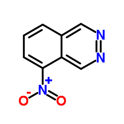 5-硝基酞嗪图片