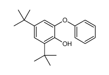 Phenol, 2,4-bis(1,1-dimethylethyl)-6-phenoxy Structure