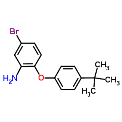 5-溴-2-[4-(叔丁基)苯氧基]苯胺结构式
