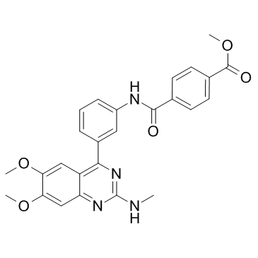 E6005 Structure