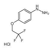 4-(2,2,2-Trifluoroethoxy)phenyl hydrazine hydrochloride structure