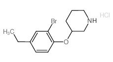 3-(2-Bromo-4-ethylphenoxy)piperidine hydrochloride结构式