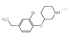 3-(2-Bromo-4-ethylphenoxy)piperidine hydrochloride Structure