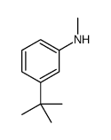 3-tert-butyl-N-methylaniline结构式