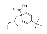 4-t-butyl-1-(3-chloro-2-methylpropyl)cyclohexa-2,5-dienecarboxylic acid结构式