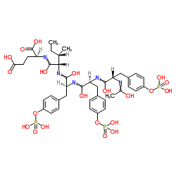 Ac-Tyr(PO3H2)-Tyr(PO3H2)-Tyr(PO3H2)-Ile-Glu-OH;SH2 Domain Ligand (4)结构式