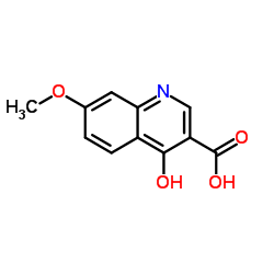 4-Hydroxy-7-methoxyquinoline-3-carboxylic acid Structure