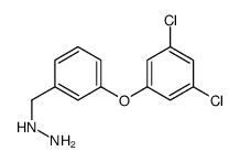3-(3,5-二氯苯氧基)-苄肼结构式