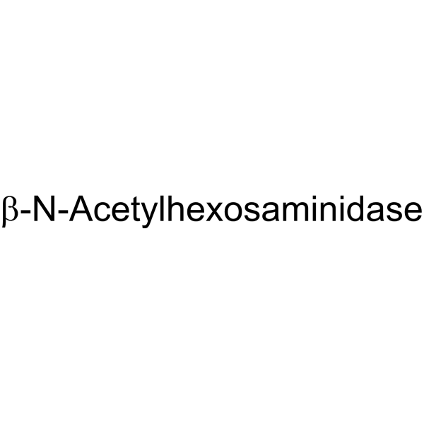 β-N-Acetylhexosaminidase Structure