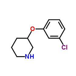 3-(3-Chlorophenoxy)piperidine Structure