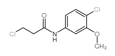 3-chloro-N-(4-chloro-3-methoxyphenyl)propanamide Structure