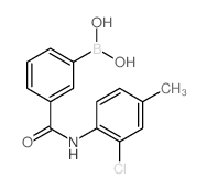 3-Borono-N-(2-chloro-4-methylphenyl)benzamide Structure