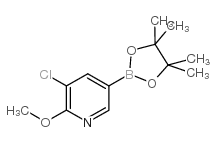 5-Chloro-6-methoxypyridine-3-boronic acid pinacol ester picture