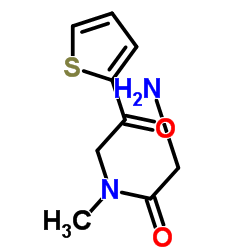 2-(Glycyl-N-methylglycyl)thiophene Structure
