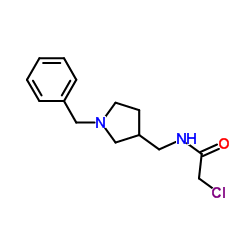 N-[(1-Benzyl-3-pyrrolidinyl)methyl]-2-chloroacetamide结构式