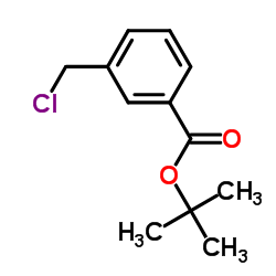 tert-Butyl 3-(chloromethyl)benzoate picture