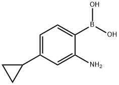 (2-amino-4-cyclopropylphenyl)boronic acid Structure