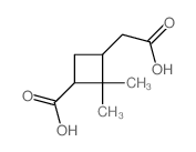 Cyclobutaneacetic acid,3-carboxy-2,2-dimethyl- picture
