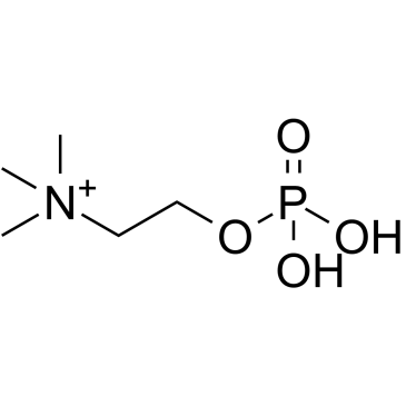 Phosphorylcholine structure