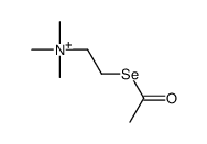 2-acetylselanylethyl(trimethyl)azanium Structure