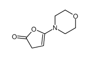 5-morpholin-4-yl-3H-furan-2-one结构式