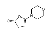 5-morpholin-4-yl-3H-furan-2-one Structure