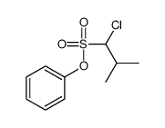 phenyl 1-chloro-2-methylpropane-1-sulfonate Structure