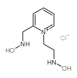 N-[[1-[2-(hydroxyamino)ethyl]pyridin-1-ium-2-yl]methyl]hydroxylamine,chloride Structure
