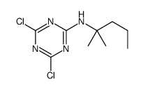 4,6-dichloro-N-(2-methylpentan-2-yl)-1,3,5-triazin-2-amine Structure