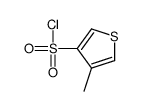 4-methylthiophene-3-sulfonyl chloride结构式