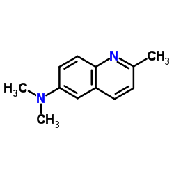 6-(Dimethylamino)quinaldine Structure