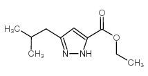 3-(2-甲基丙基)-1H-吡唑-5-羧酸乙酯结构式