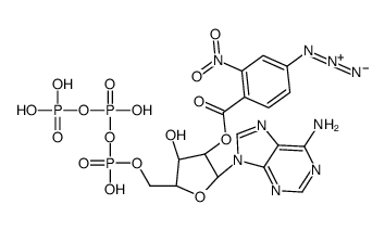 [(2R,3R,4R,5R)-2-(6-aminopurin-9-yl)-4-hydroxy-5-[[hydroxy-[hydroxy(phosphonooxy)phosphoryl]oxyphosphoryl]oxymethyl]oxolan-3-yl] 4-azido-2-nitrobenzoate Structure