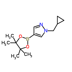 1-(环丙基甲基)-4-(4,4,5,5-四甲基-1,3,2-二噁硼烷-2-基)-1H-吡唑结构式