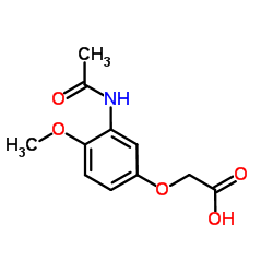 (3-Acetamido-4-methoxyphenoxy)acetic acid Structure