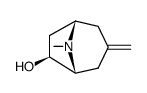 3-methylenetropan-6β-ol Structure