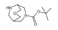 tert-butyl 3-oxa-7,9-diazabicyclo[3.3.2]decane-7-carboxylate结构式