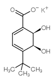 (2R,3S)-1-羧基-4-叔-丁基-2,3-二羟基环己基-4,6-二烯钾盐结构式