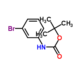 tert-butyl (3-bromophenyl)carbamate Structure