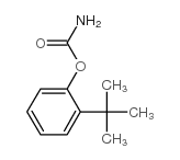 (2-tert-butylphenyl) carbamate结构式