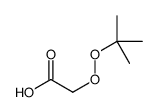 2-tert-butylperoxyacetic acid Structure