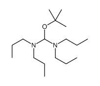 1-[(2-methylpropan-2-yl)oxy]-N,N,N',N'-tetrapropylmethanediamine Structure