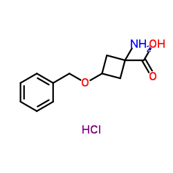 1-Amino-3-(benzyloxy)cyclobutanecarboxylicacidhydrochloride结构式