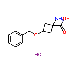 1-Amino-3-(benzyloxy)cyclobutanecarboxylic acid hydrochloride structure