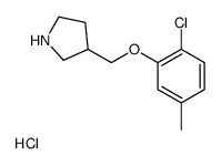 3-[(2-chloro-5-methylphenoxy)methyl]pyrrolidine,hydrochloride结构式