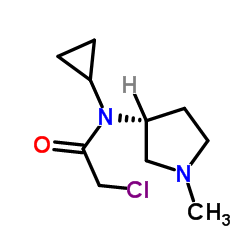 2-Chloro-N-cyclopropyl-N-[(3R)-1-methyl-3-pyrrolidinyl]acetamide结构式
